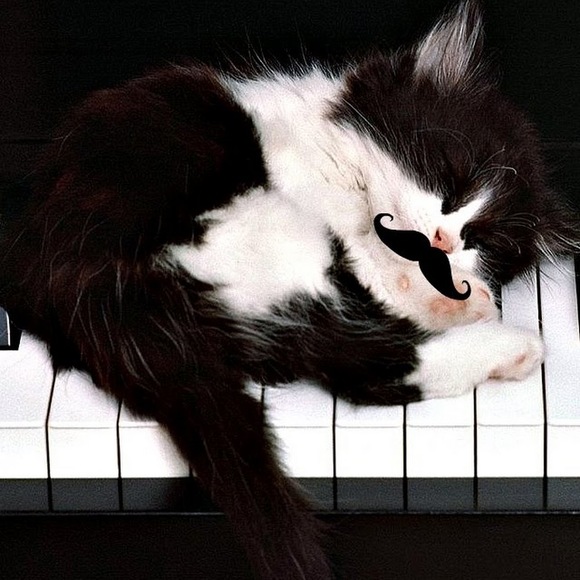 katyd227